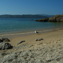 Isola d'Elba - Zucchale