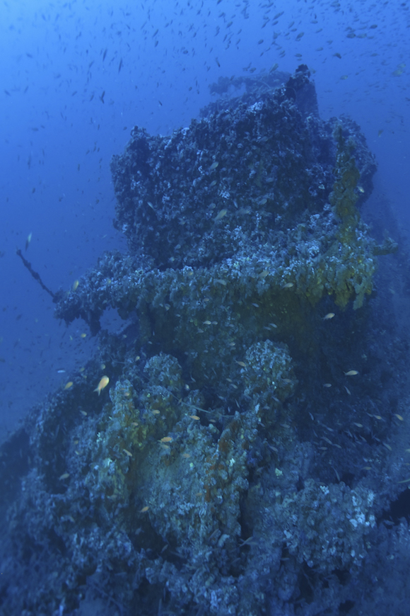 immersione relitto fr70 isola d' elba