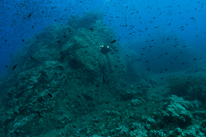 immersione secca di mortigliano isola d' elba