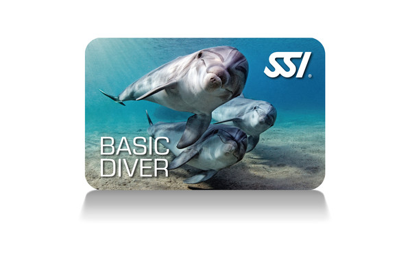 basicdiver